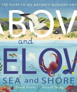 Above and Below: Sea and Shore: Lift the flaps to see nature's wonders unfold - Harriet Evans - 9781838915056