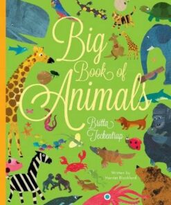 Big Book of Animals - Harriet Blackford - 9781914912535