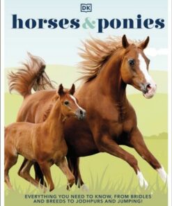 Horses & Ponies: Everything You Need to Know