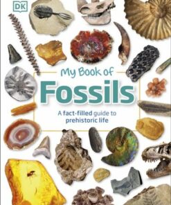My Book of Fossils: A fact-filled guide to prehistoric life - DK - 9780241533369