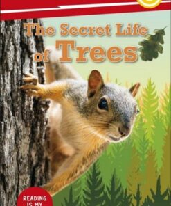 DK Super Readers Level 2 Secret Life of Trees - DK - 9780241599525