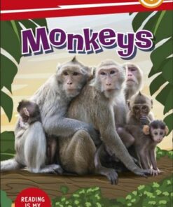 DK Super Readers Level 1 Monkeys - DK - 9780241600795