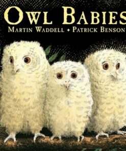 Owl Babies - Martin Waddell - 9780744531671