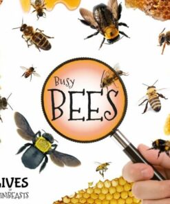 Busy Bees - Holly Duhig - 9781786371850