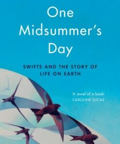 One Midsummer's Day: Swifts and the Story of Life on Earth - Mark Cocker - 9781787332799