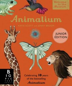 Animalium (Junior Edition) - Katie Scott - 9781800783706