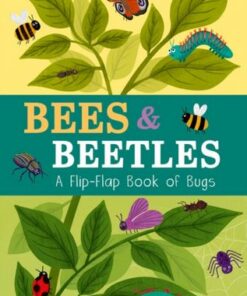 Bees & Beetles: A Flip-Flap Book of Bugs - Molly Littleboy - 9781801044585
