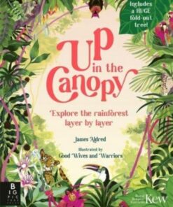Up in the Canopy: Explore the Rainforest