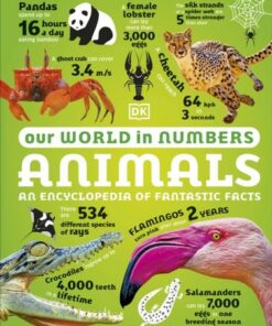 Our World in Numbers Animals: An Encyclopedia of Fantastic Facts - DK - 9780241569795