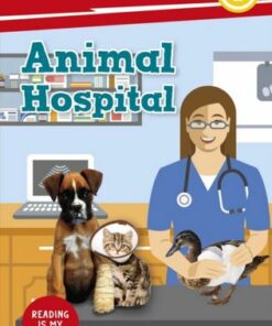 DK Super Readers Level 2 Animal Hospital - DK - 9780241602379