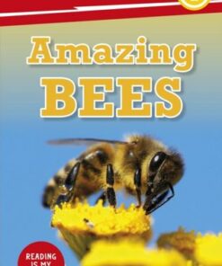DK Super Readers Level 2 Amazing Bees - DK - 9780241602652