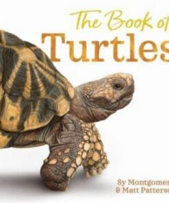 The Book of Turtles - Sy Montgomery - 9780358458074