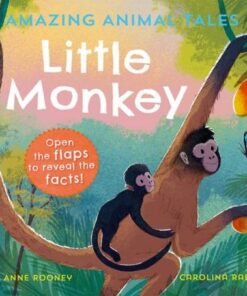 Amazing Animal Tales: Little Monkey - Anne Rooney - 9780192780898