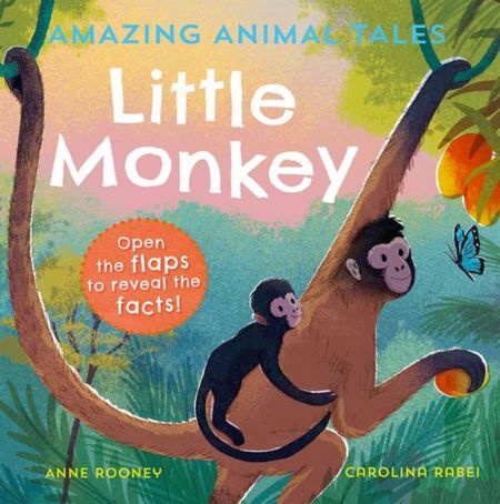 Amazing Animal Tales: Little Monkey - Anne Rooney - 9780192780898