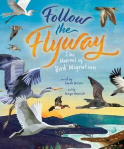 Follow the Flyway: The Marvel of Bird Migration - Sarah Nelson - 9781646866335