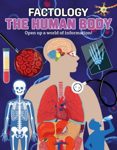 The Human Body: Open Up a World of Information! - Button Books - 9781787081345