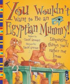 You Wouldn't Want To Be An Egyptian Mummy! - David Stewart - 9781909645257