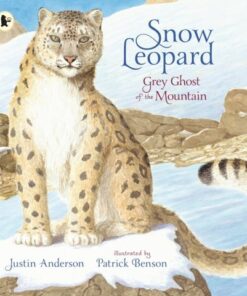 Snow Leopard: Grey Ghost of the Mountain - Justin Anderson - 9781406391985