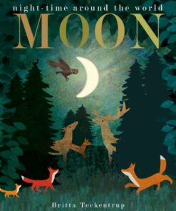 Moon: night-time around the world - Patricia Hegarty - 9781788817158