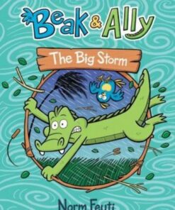 Beak & Ally #3: The Big Storm - Norm Feuti - 9780063021648
