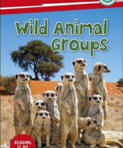 DK Super Readers Level 3 Wild Animal Groups - DK - 9780241603451