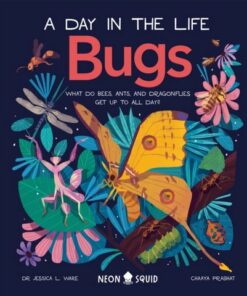 A Day in the Life: Bugs: What Do Bees