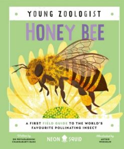 Young Zoologist: Honey Bee: A First Field Guide to the World's Favourite Pollinating Insect - Neon Squid - 9781838992712