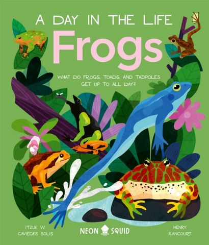 A Day in the Life: Frogs: What Do Frogs