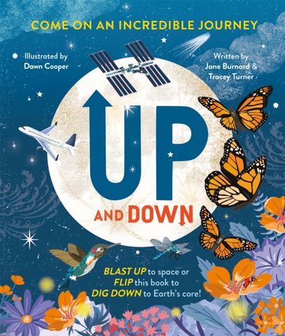 Up and Down - Tracey Turner - 9780753447864