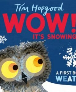 WOW! It's Snowing: A First Book of Weather - Tim Hopgood - 9781529098396