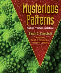 Mysterious Patterns: Finding Fractals in Nature - Sarah C. Campbell - 9781662620416