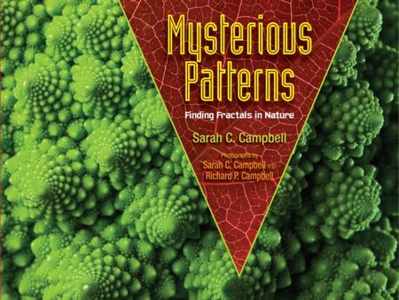 Mysterious Patterns: Finding Fractals in Nature - Sarah C. Campbell - 9781662620416
