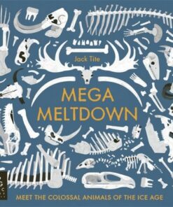 Mega Meltdown - Jack Tite - 9781800788022