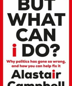 But What Can I Do?: Why Politics Has Gone So Wrong