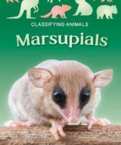 Marsupials - Madeline Tyler - 9781805053859