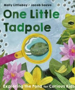 One Little Tadpole - Molly Littleboy - 9781801044349