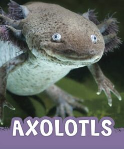Axolotls - Jaclyn Jaycox - 9781398243927