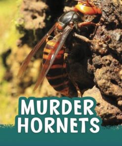 Murder Hornets - Jaclyn Jaycox - 9781398244047