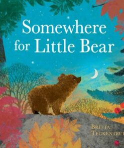 Somewhere for Little Bear - Britta Teckentrup - 9781408359716