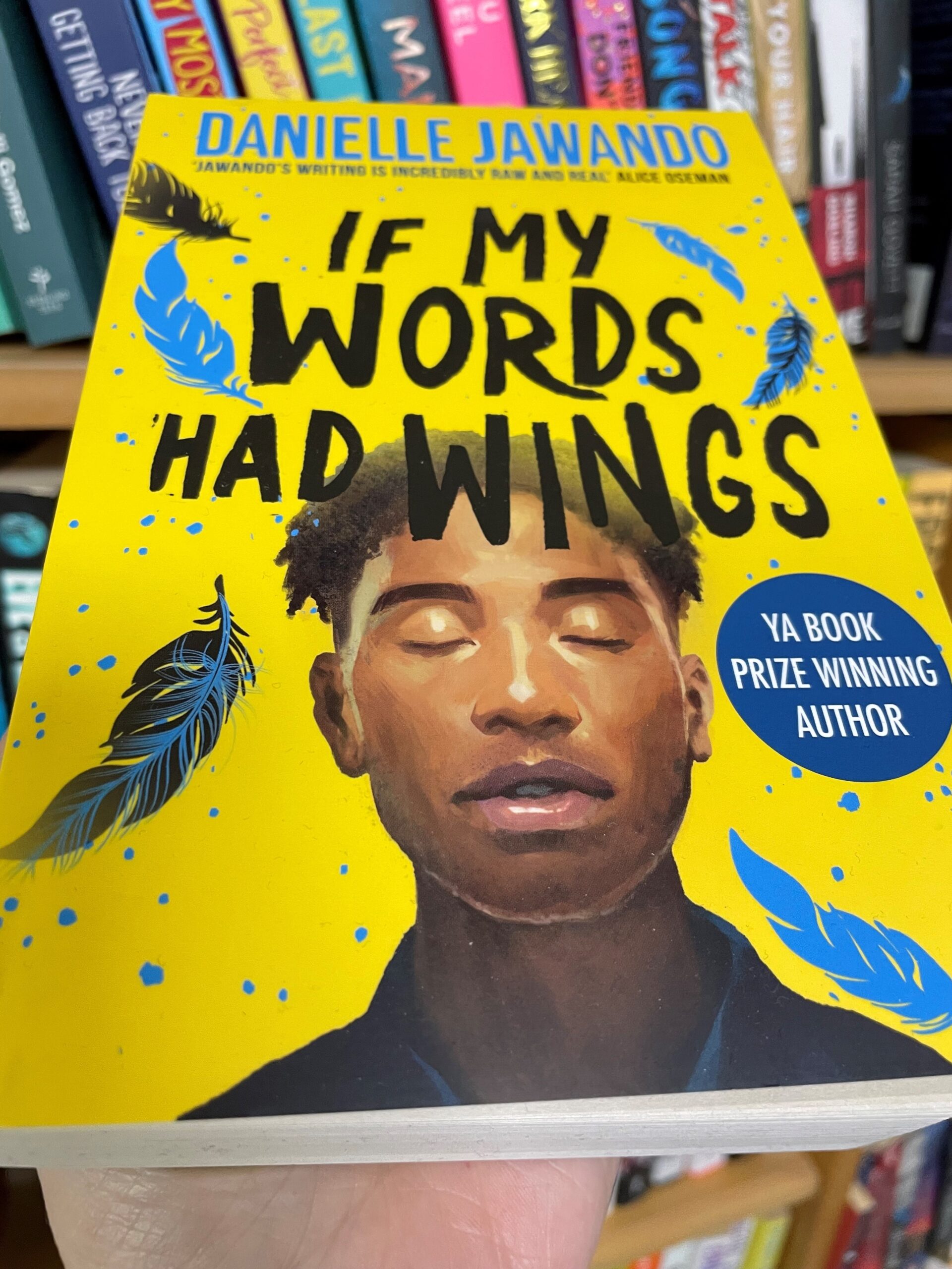 If My Words Had Wings scaled