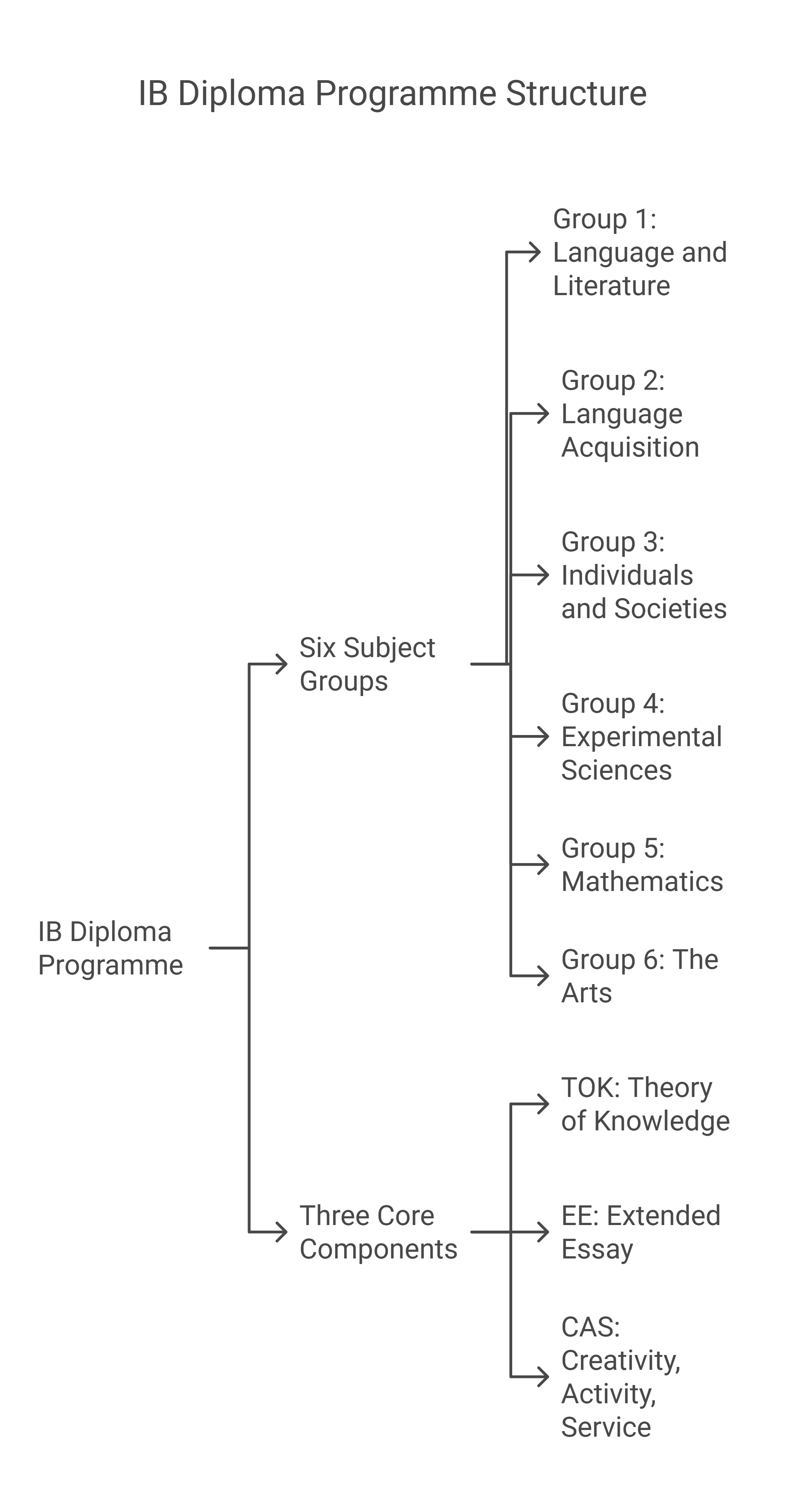 IB Diploma Programme Overview
