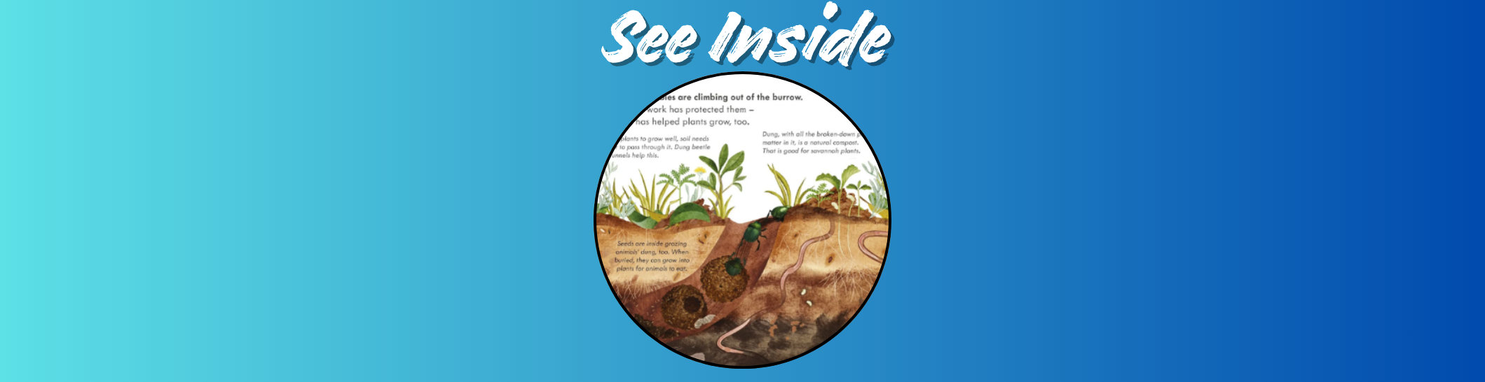 See Inside feature start small