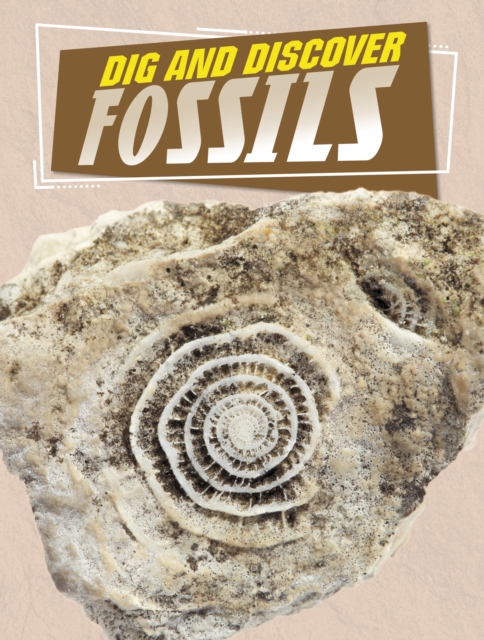 Rock Your World: Dig and Discover Fossils 1 Rock Your World: Dig and Discover Fossils