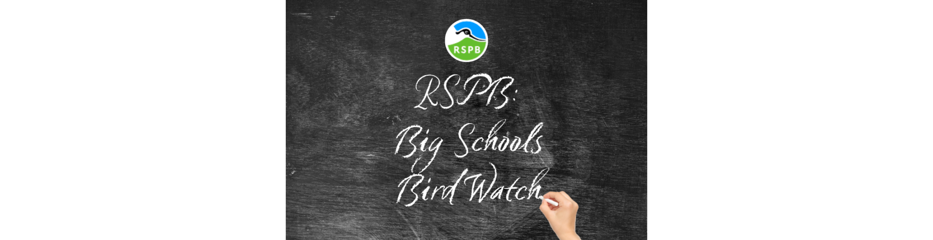 Blackboard feature Bird Watch