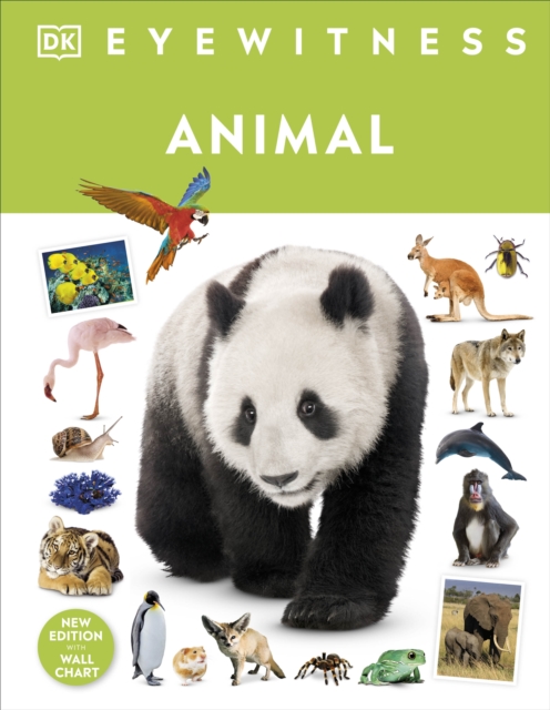 DK Eyewitness: Animal 1 DK Eyewitness: Animal