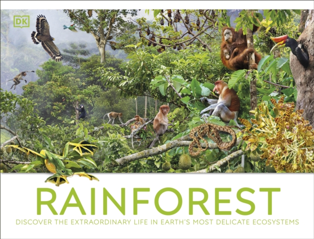 Rainforest 24 9780241716427.jpg