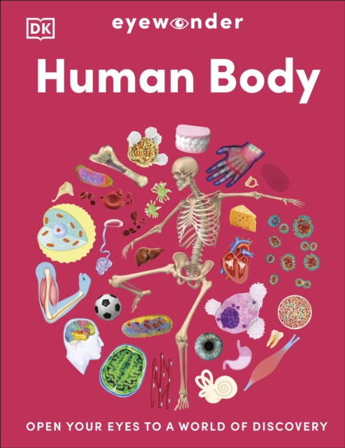 Eyewonder Human Body 1 Eyewonder Human Body