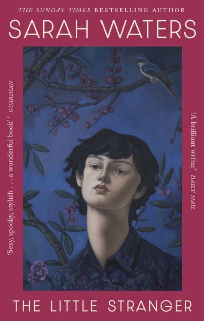 The Little Stranger — book cover