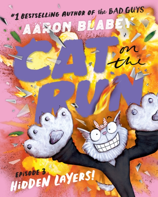 Cat on the Run 3: Hidden Layers 1 Cat on the Run 3: Hidden Layers
