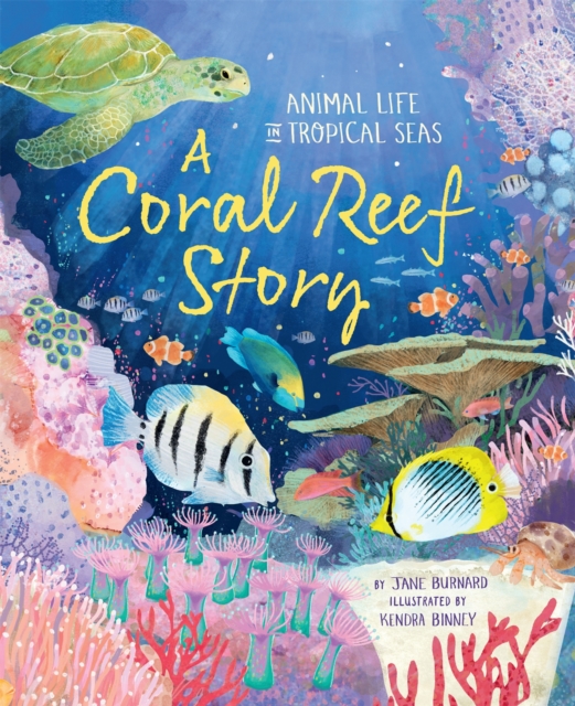 A Coral Reef Story: Animal Life in Tropical Seas 55 9781035047765.jpg